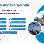 Các ngành đào tạo từ xa Đại học Thái Nguyên